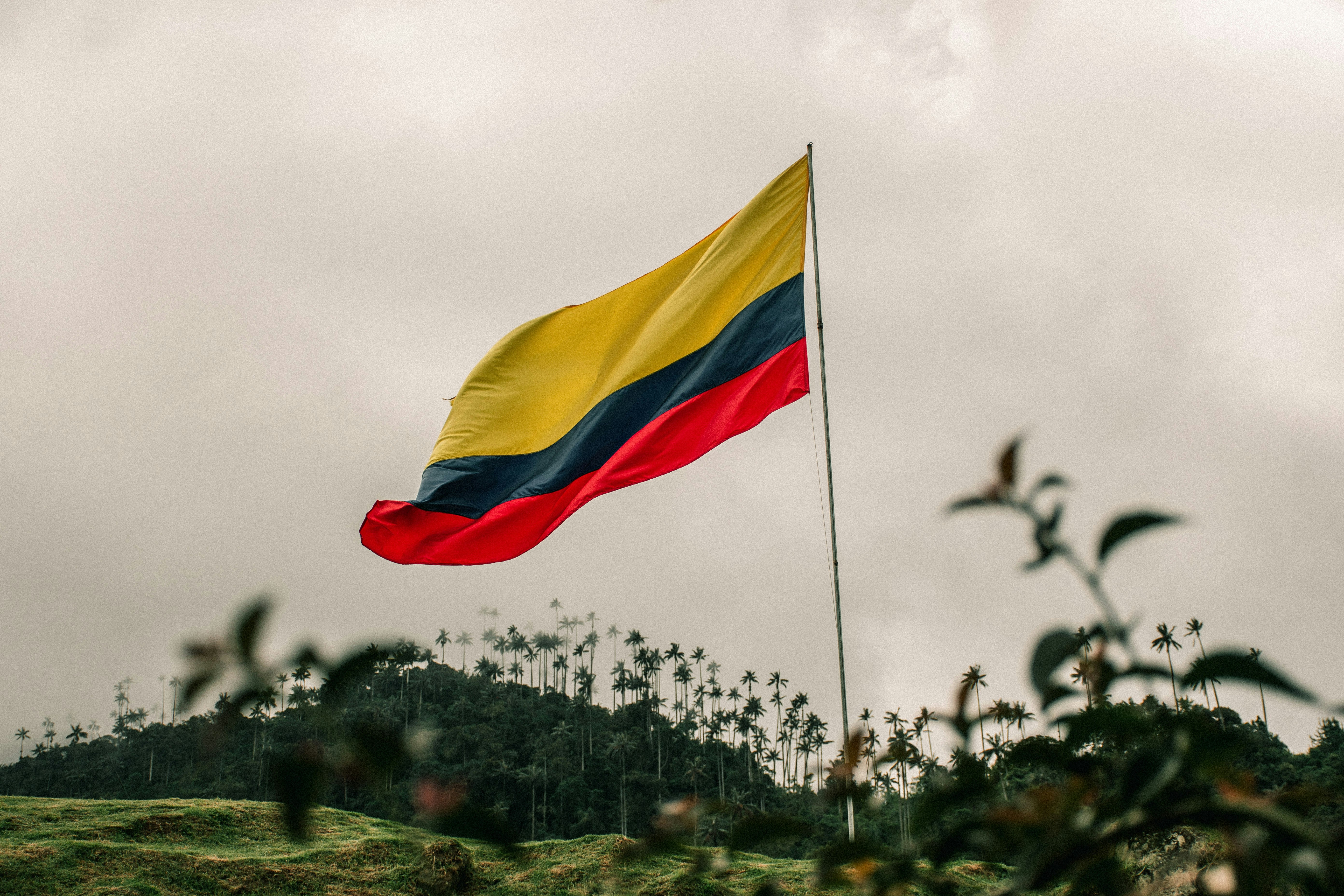 Valle de Cocora